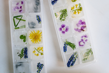 Eiswürfel mit Blumen und Kräutern