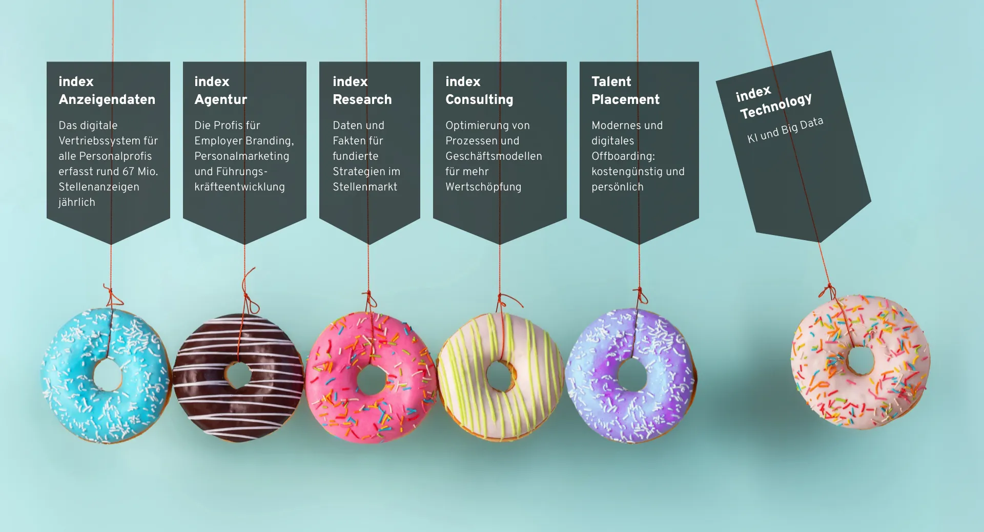 Donaut-Grafik-index-Gruppe-Bereiche 4 Donuts